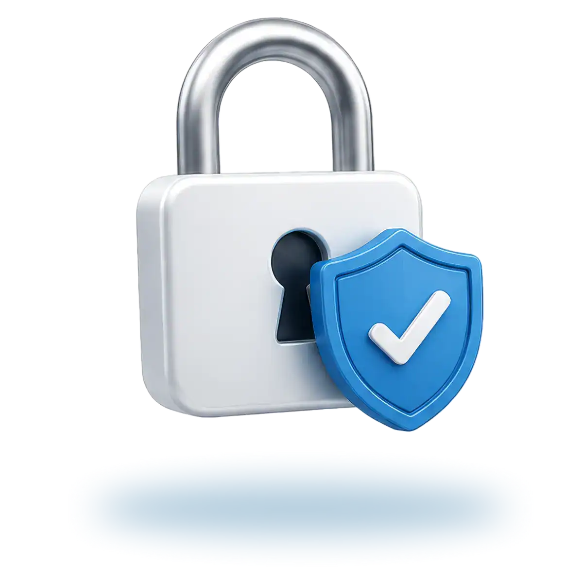 Privacy Policy Padlock